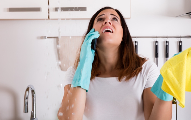 Making this the first true ones the uses a dictionary.